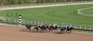 Horse Race